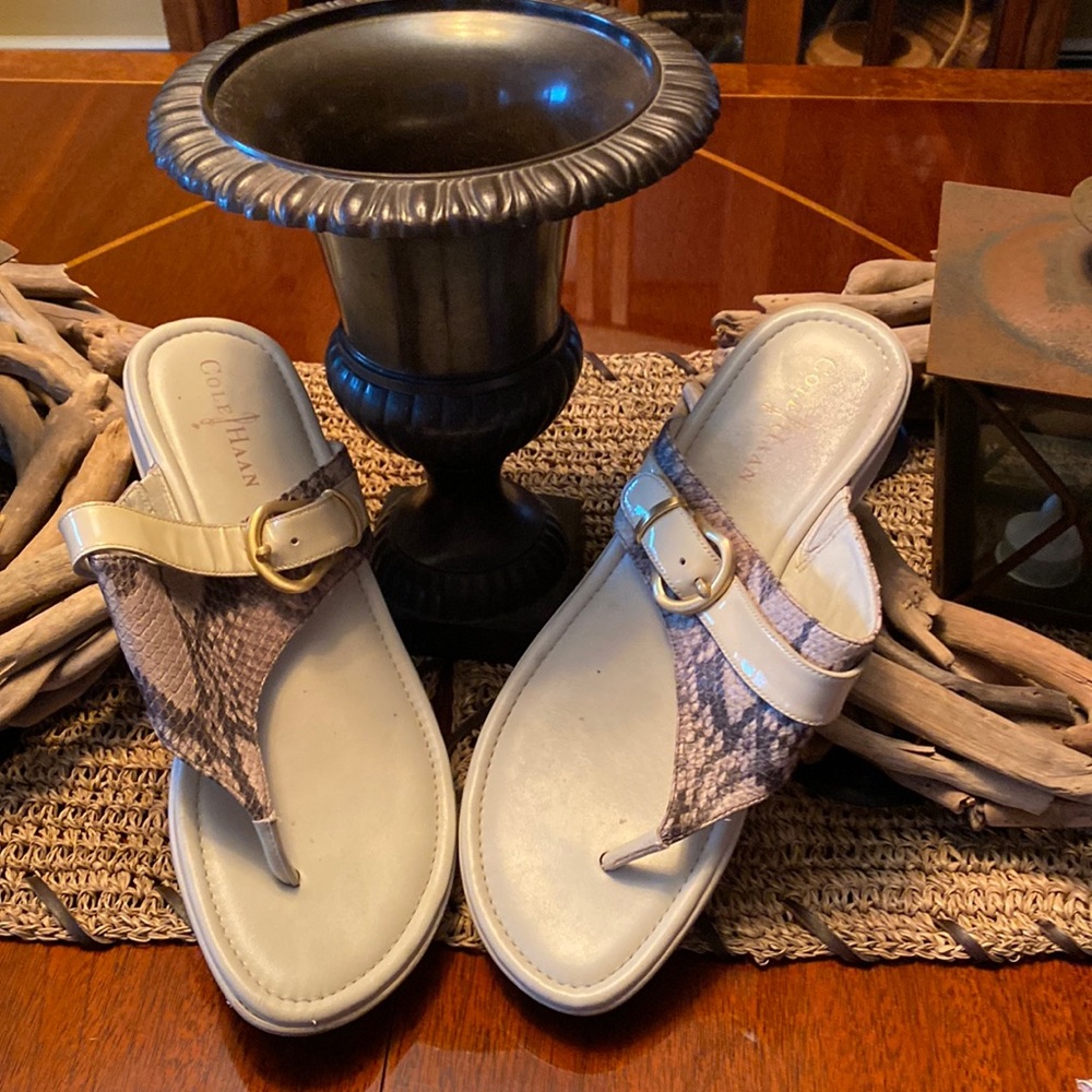Cole Haan Nike air